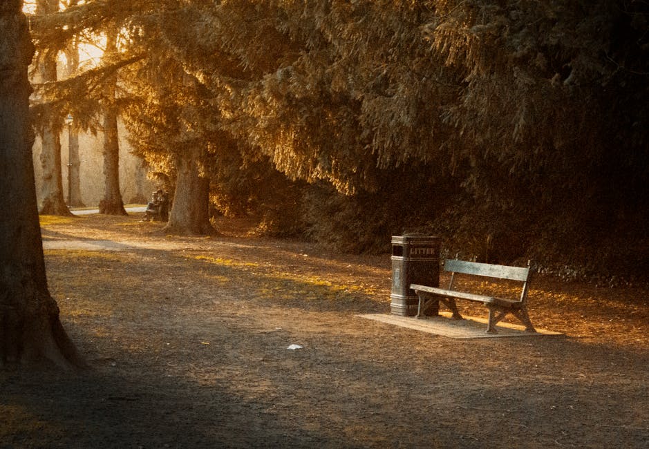 A quiet park pathway during late afternoon or early evening, with tall trees on either side casting long shadows on the ground covered in dirt and scattered leaves. A wooden park bench with a metal frame is positioned near the right side of the pathway, adjacent to a black litter bin marked 'LITTER'. The scene is illuminated by warm, golden sunlight filtering through the tree branches, creating a peaceful atmosphere. The environment appears calm and suitable for casual strolls or outdoor relaxation, reflecting an outdoor setting that might be associated with community spaces or residential surroundings where house removals or relocation services, such as those offered by Man with Van Shooters Hill, could take place during neighborhood moves or home relocations. No other objects or vehicles are visible in the scene, emphasizing the natural and tranquil setting of the park.